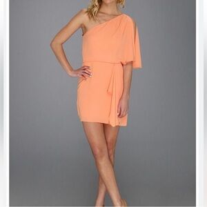 NWOT - BCBGMaxAzria Mina One-Shoulder Dress